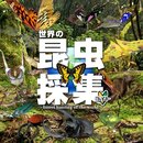 世界的昆虫采取汉化版