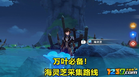 原神海灵芝最佳采集路线分享 原神海灵芝分布图一览